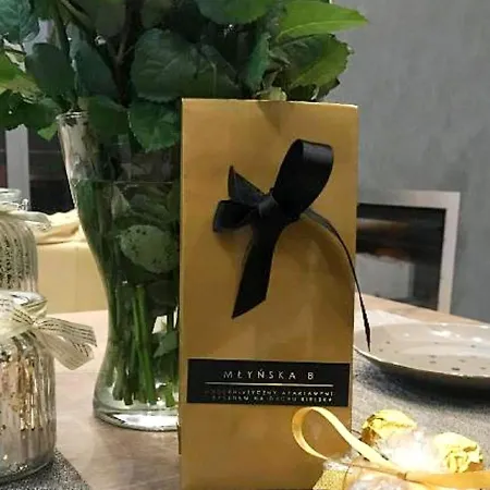 Mlynska 8 Z Prywatnym Basenem Bielsko-Biała